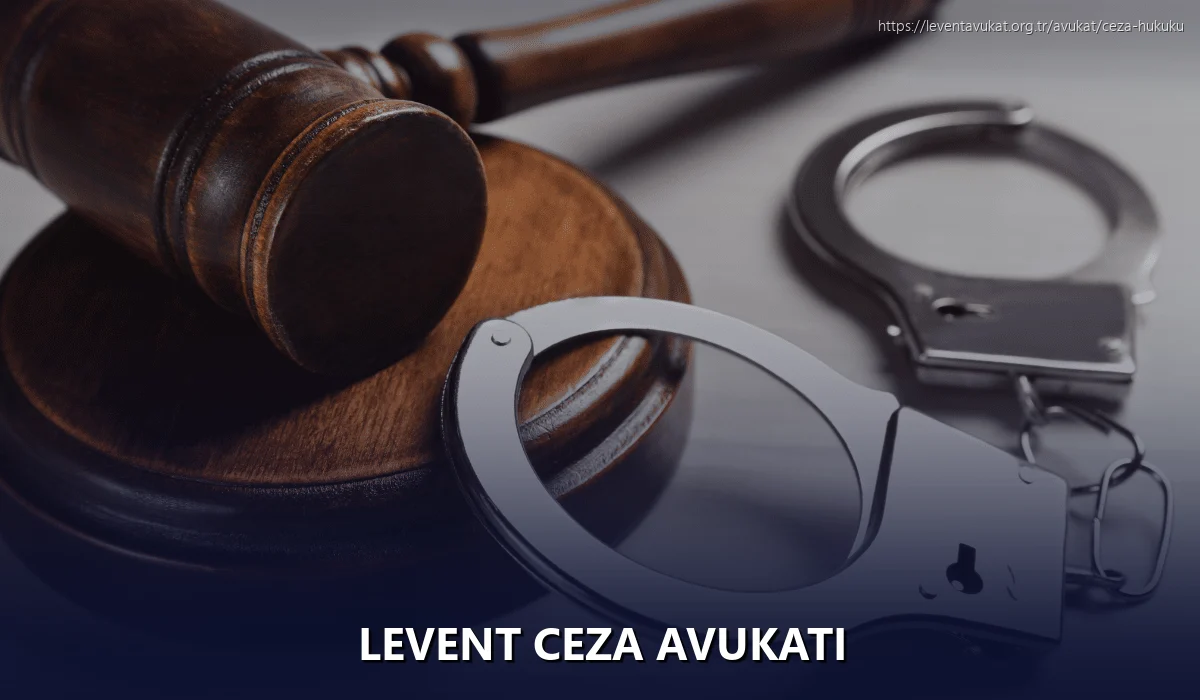 Levent Ceza Avukatı